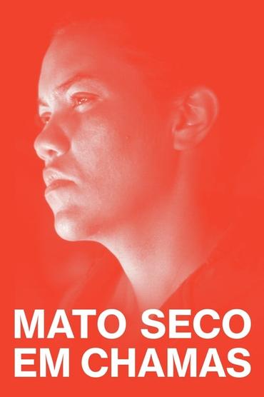 Mato Seco em Chamas